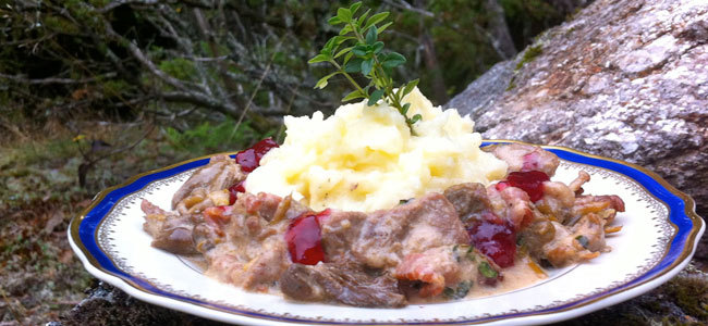 Viltsauté med trattkantareller