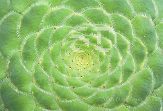 DSCN7469