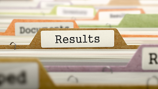 Results delivered in previous positions  recruitment IT SPECIALISTS, engineers, technicians & executives